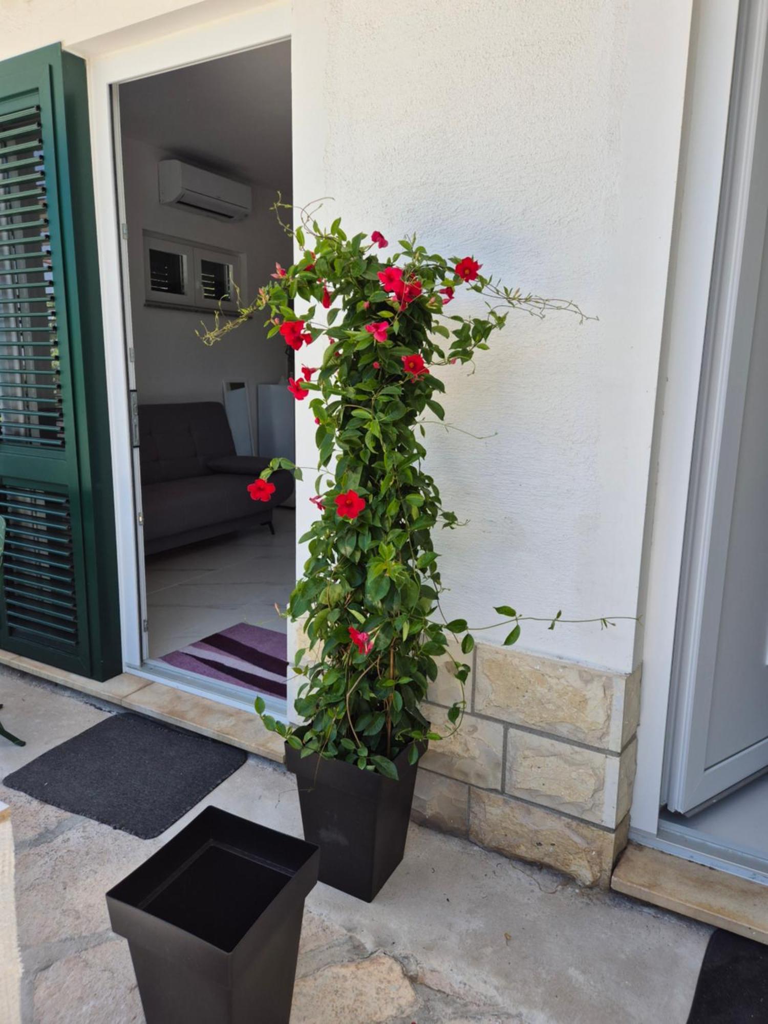Apartman Bauer - Omis- Nemira المظهر الخارجي الصورة